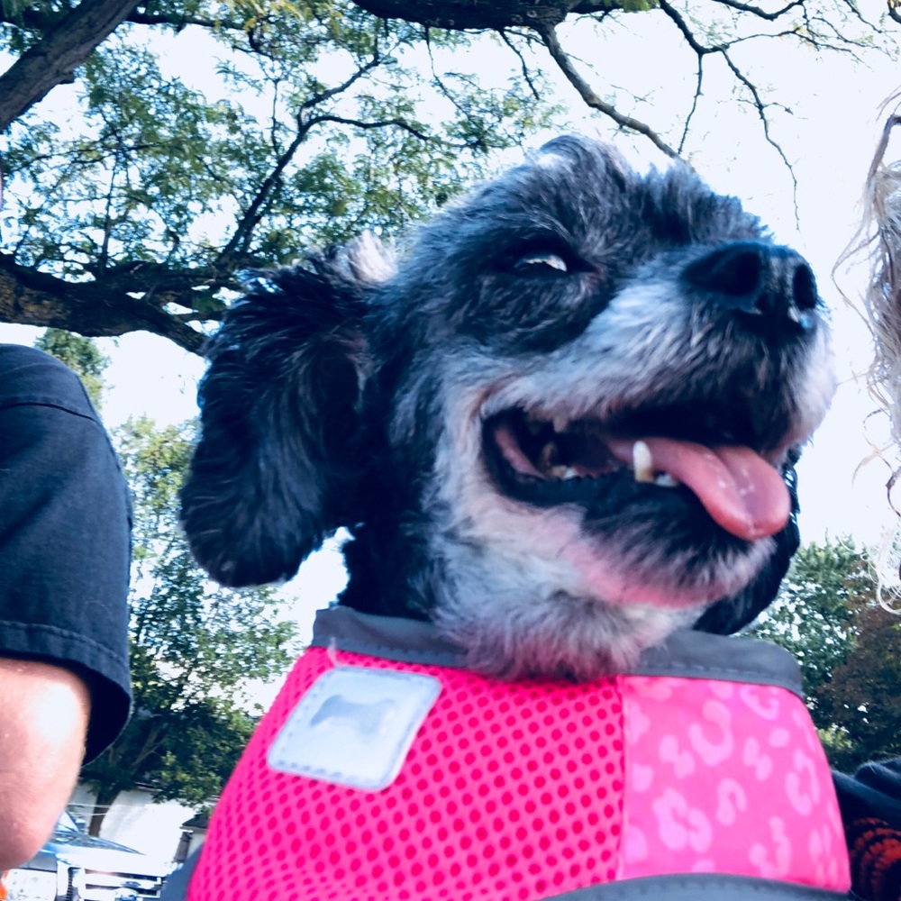 Meet your Posher, Renee